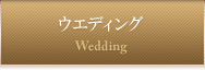 �E�G�f�B���O