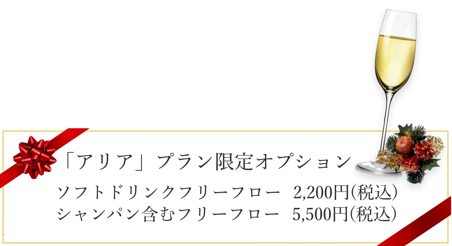 「アリア」プラン限定オプション