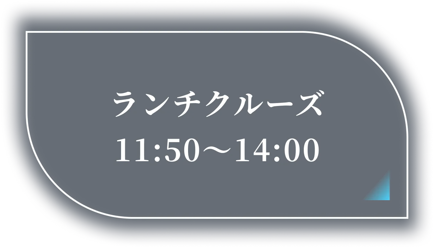 ランチクルーズ 11:50〜14:00