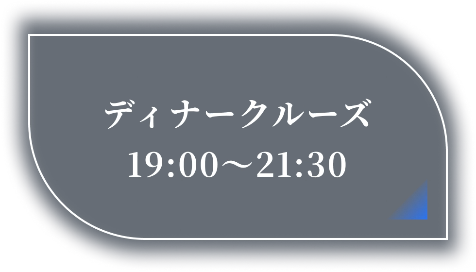 ディナークルーズ 19:20〜21:30