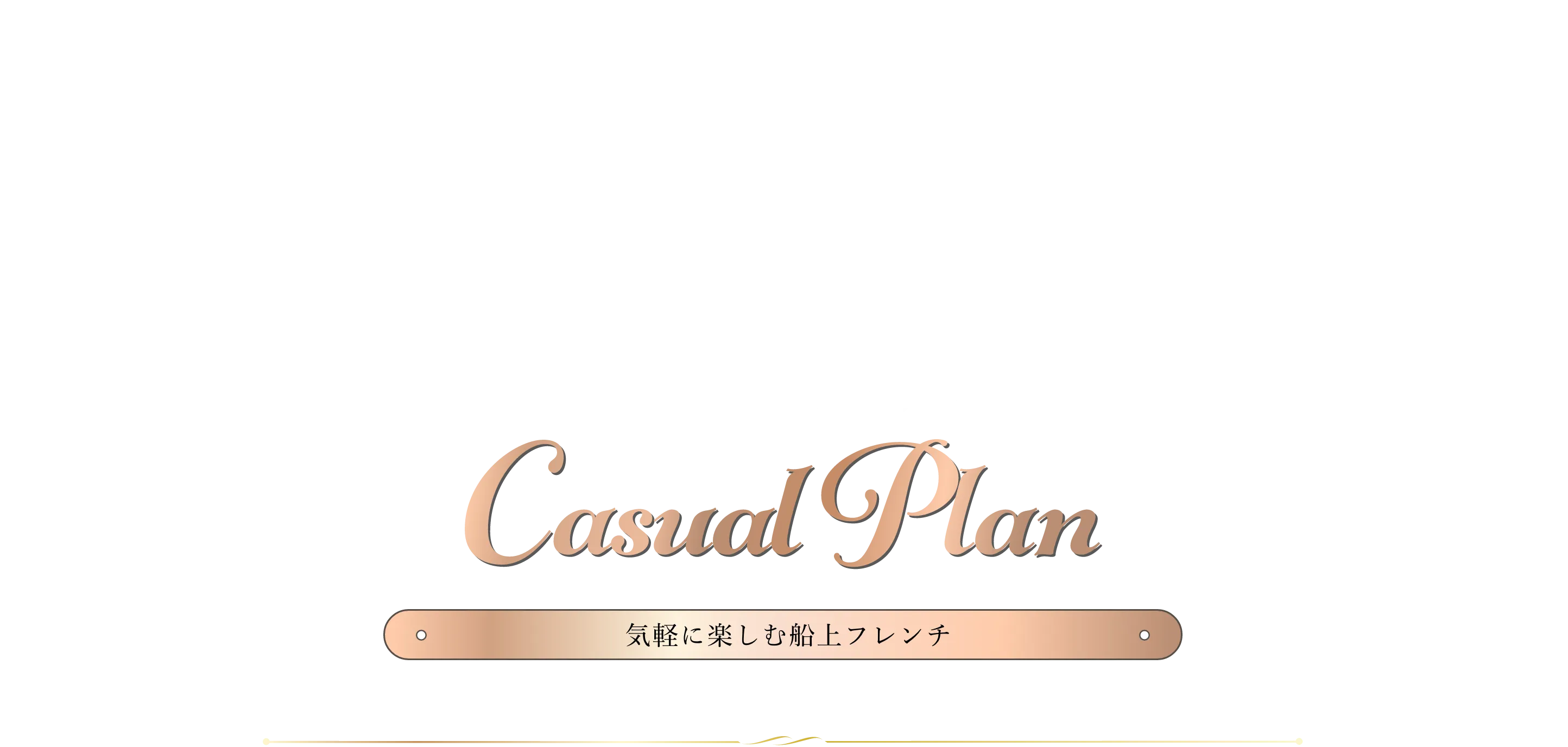 カジュアルプラン
