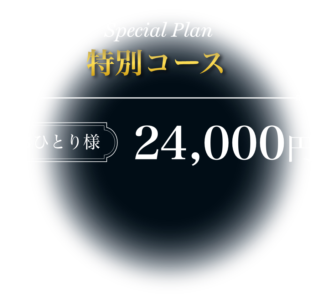 特別コースおひとり様24,000円
