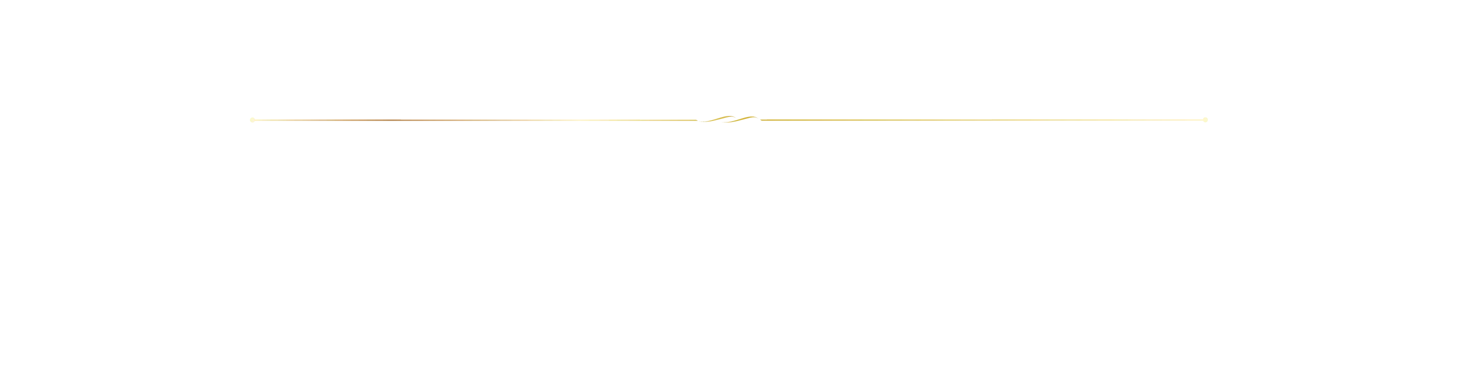 バイキングプラン
