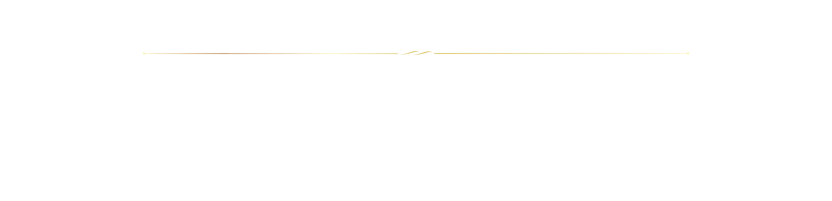 Special Plan 特別コース